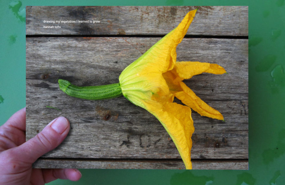 New book! Drawing my vegetables i learned to grow